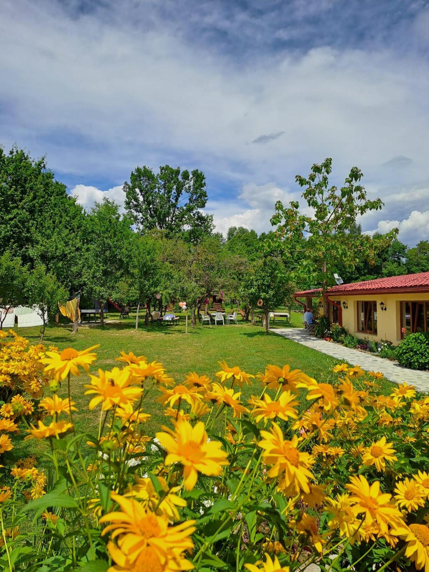 Pensiunea Casa Noastra บายาเดเฟียร์ ภายนอก รูปภาพ