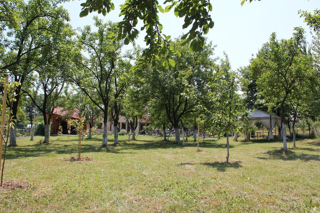 Pensiunea Casa Noastra บายาเดเฟียร์ ภายนอก รูปภาพ